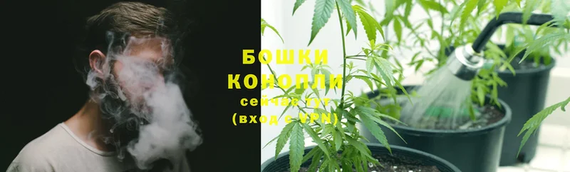 где купить наркоту  Уяр  Канабис Ganja 